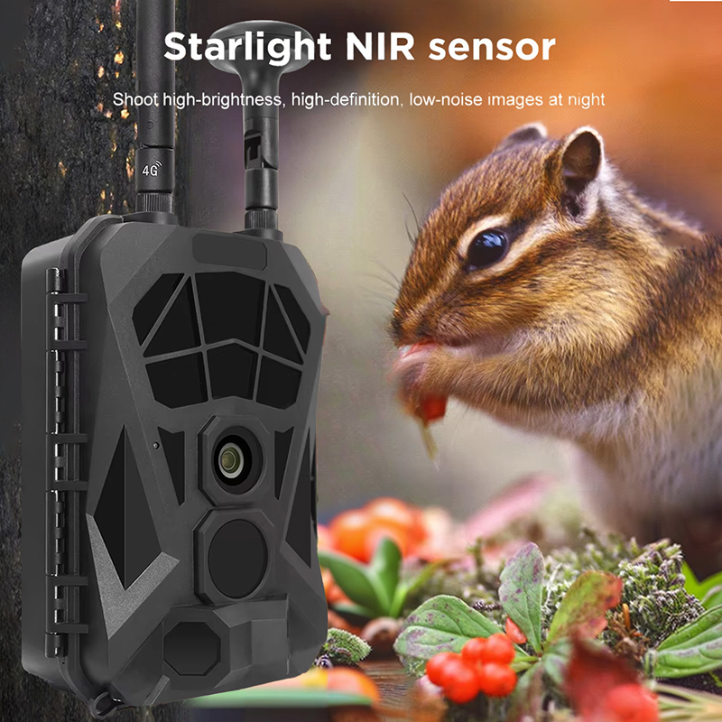 Outdoor Hunting Camera Wireless - Takip Kamerası 4G GPS Kablosuz Kızılötesi