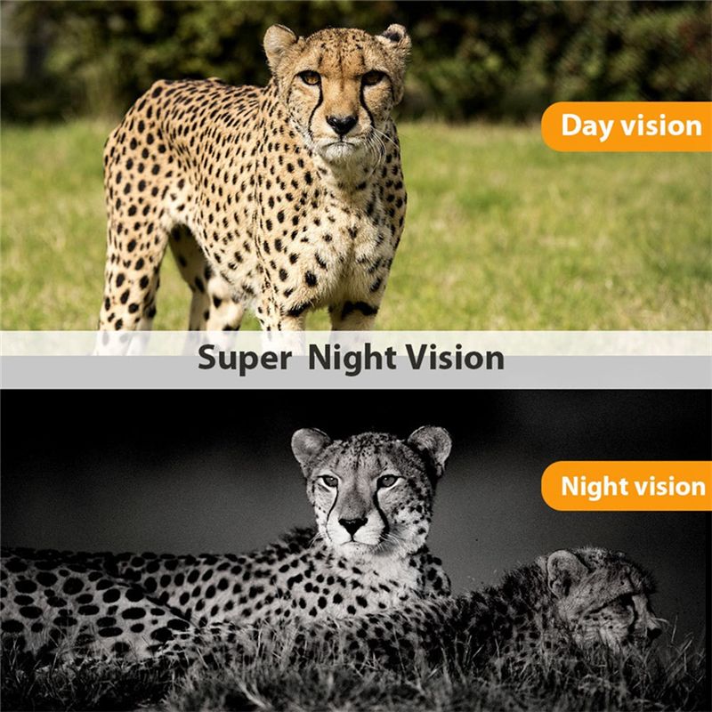 CGDS-Yaban Hayatı Avcılık Kame - Outdoor Hunting Camera Wireless incelemesi ve fiyatı